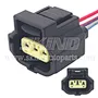 SK-B203